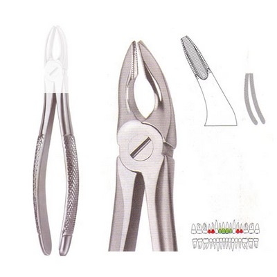 Extracting Forceps